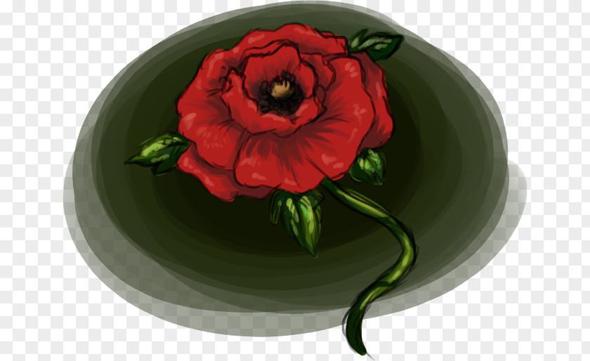 Poppy Seed Garden Roses Cut Flowers Flowerpot PNG