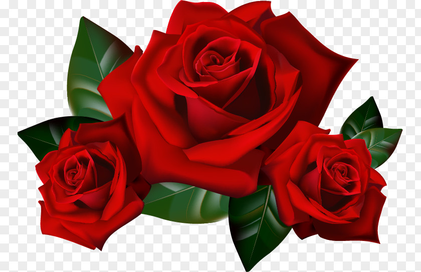 Rose Clip Art PNG