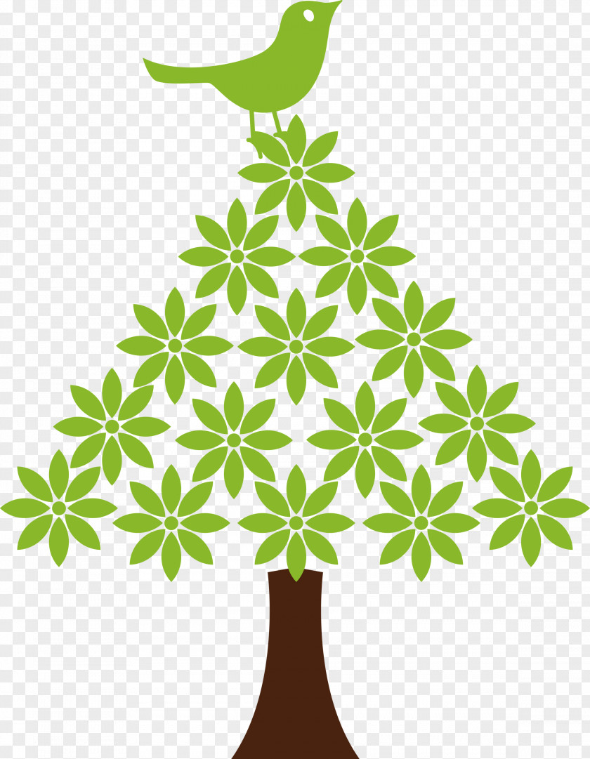 Tree PNG