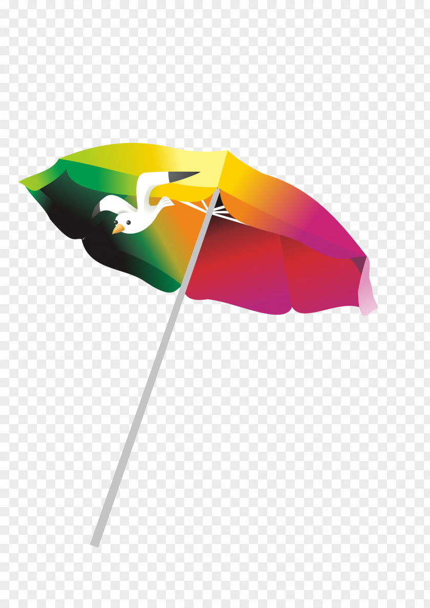 Vector Color Umbrella Image PNG