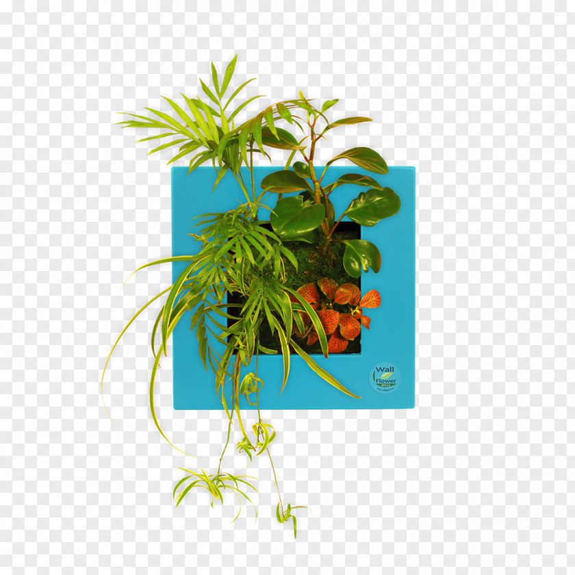 Arecaceae Flowerpot Tree PNG