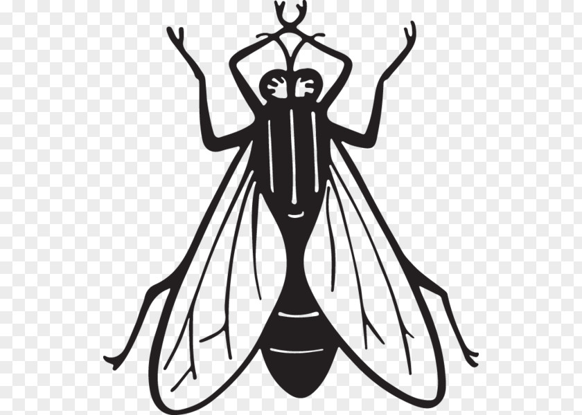 Insect Clip Art Fly Image Drawing PNG
