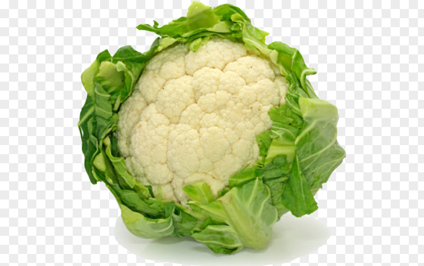 Plant Wild Plants You Can Eat Cauliflower Eating Edible Flower PNG