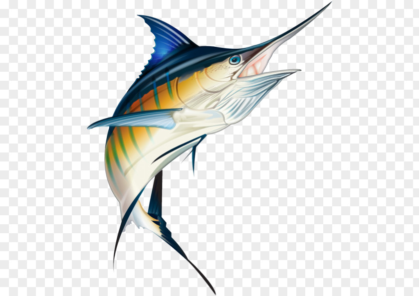 Bonyfish Rayfinned Fish Painting Cartoon PNG