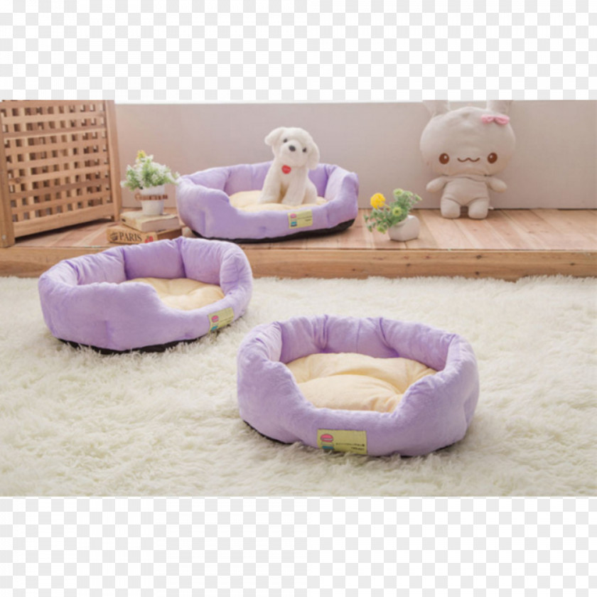Cat Dog Furniture Purple Pet PNG