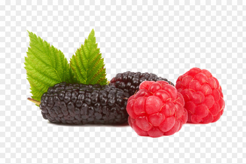 Mulberry Close-up Raspberry Boysenberry Frutti Di Bosco Strawberry Tayberry PNG