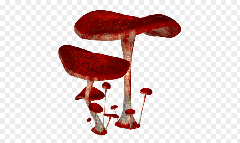 Red Mushroom Euclidean Vector PNG