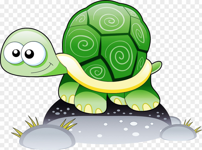 Reptile Sea Turtle Green Tortoise Cartoon PNG