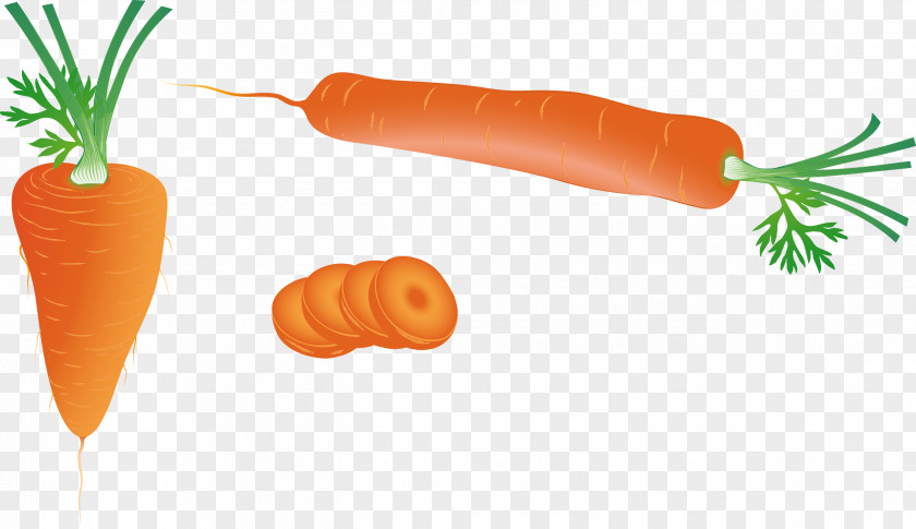 Vector Carrot Download Vegetable PNG