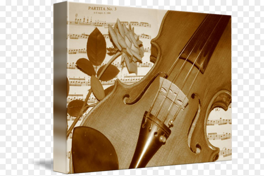 Violin Cello Varnish PNG