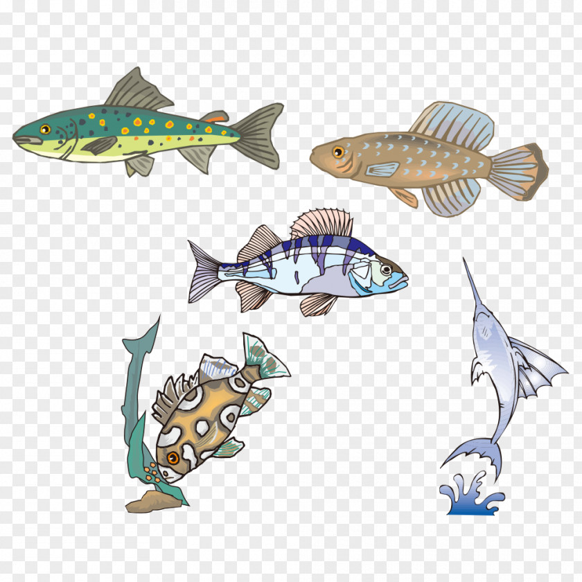 Cartoon Fish PNG
