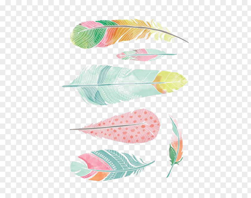 Feather Watercolor Painting Drawing PNG