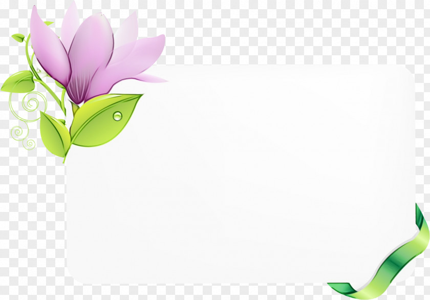 Flower Plant Petal Purple Tulip PNG