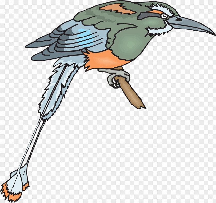 Flying Bird Beak Feather Clip Art PNG