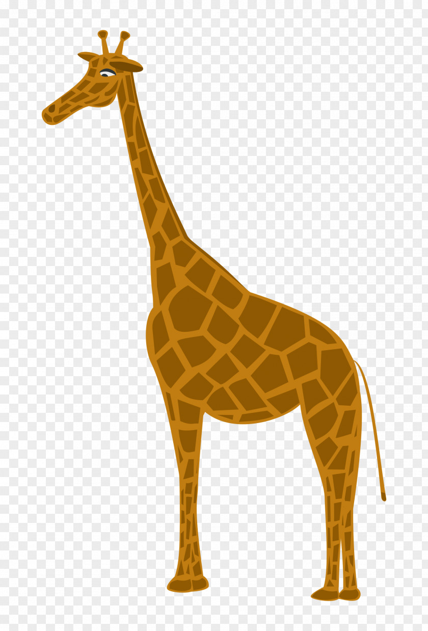 Giraffe Northern Deer Mammal Animal Clip Art PNG