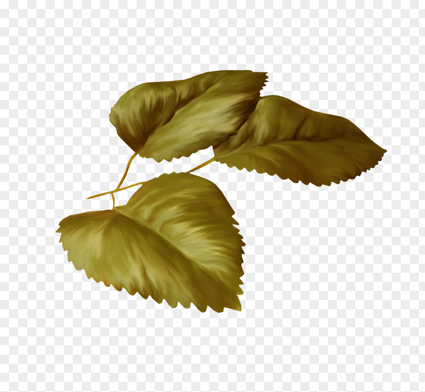 Leaf Fly LiveInternet Yandex Search Diary Clip Art PNG