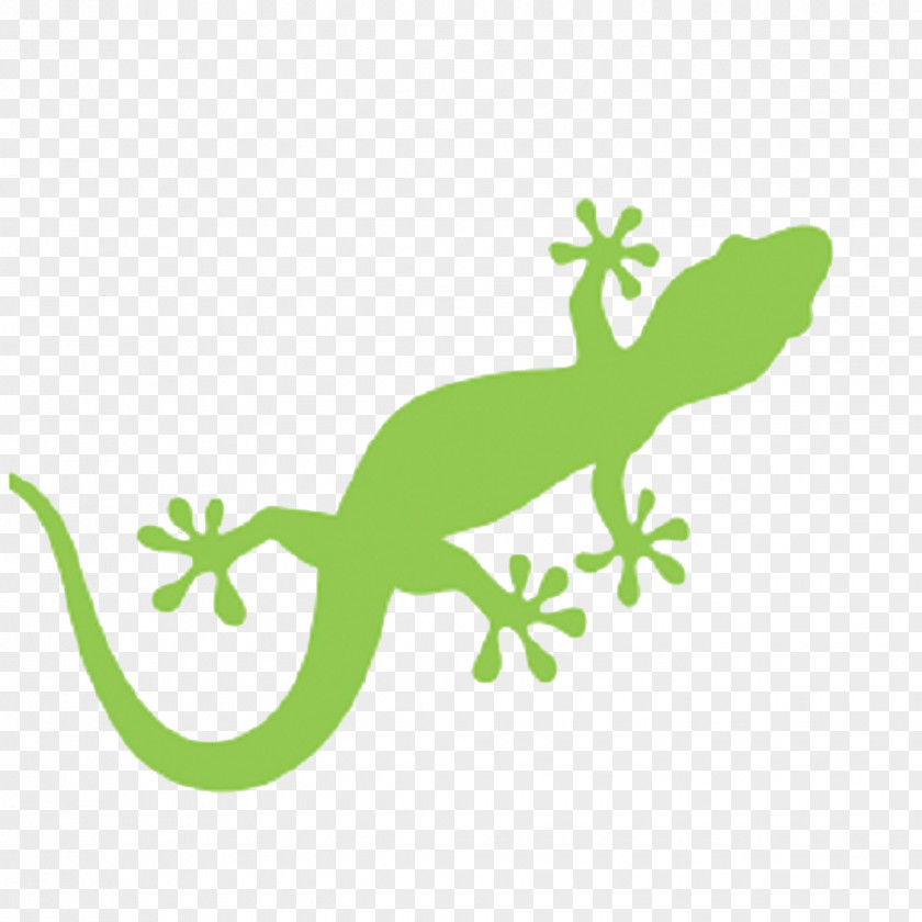 Lizard Gecko Royalty-free PNG