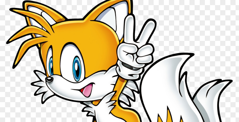 Sonic Advance Tails & Sega All-Stars Racing Shadow The Hedgehog Riders PNG