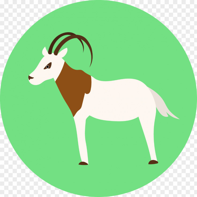 Tail Bovine Green Grass Background PNG