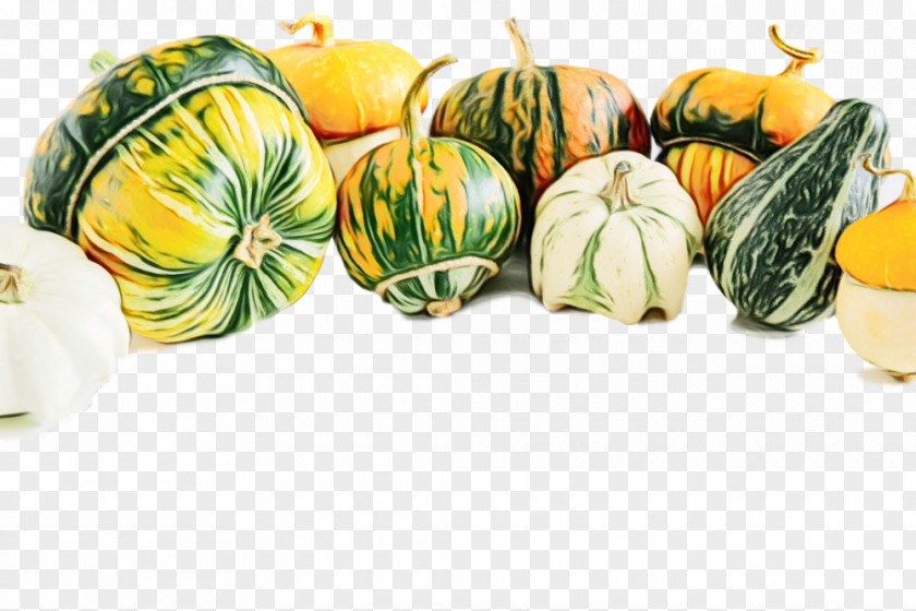 Acorn Squash Cucurbita Vegetable Food Fruit Plant Natural Foods PNG