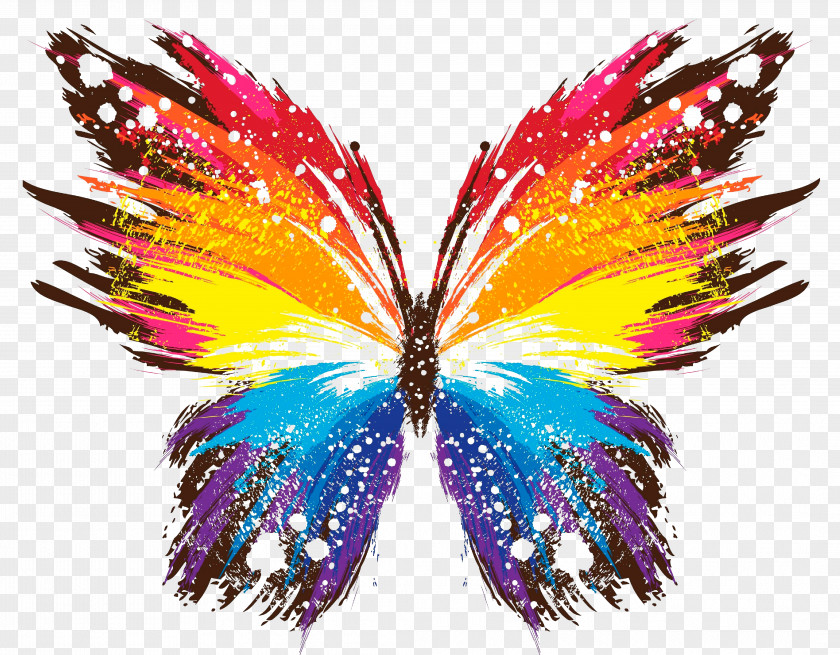 Colorful Butterfly Painting Drawing Desktop Wallpaper PNG