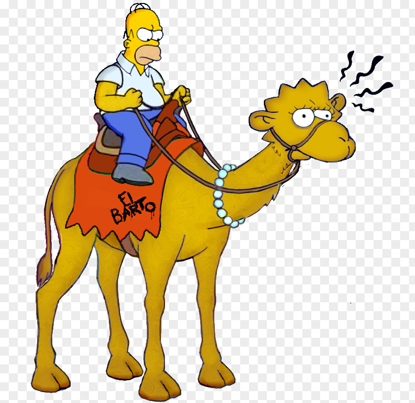 Dromedary Homer Simpson Lisa Bactrian Camel Skinner's Sense Of Snow PNG