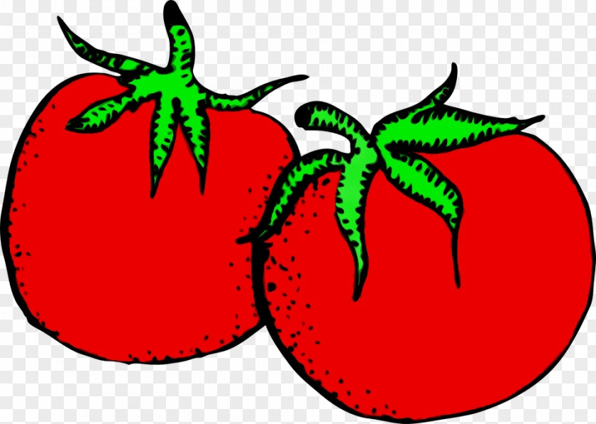 Nightshade Family Fruit Tomato PNG
