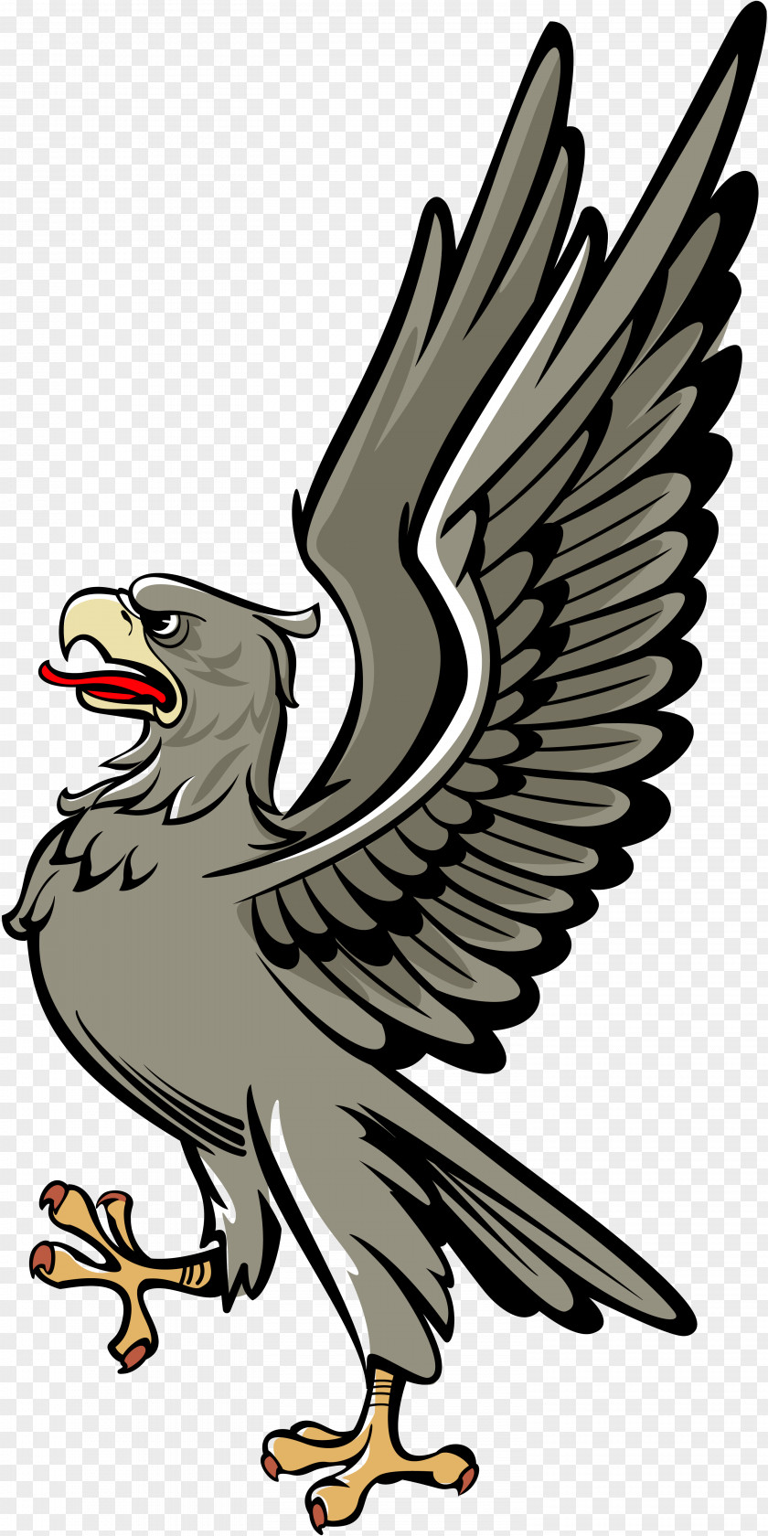 Bird Bald Eagle Heraldry PNG