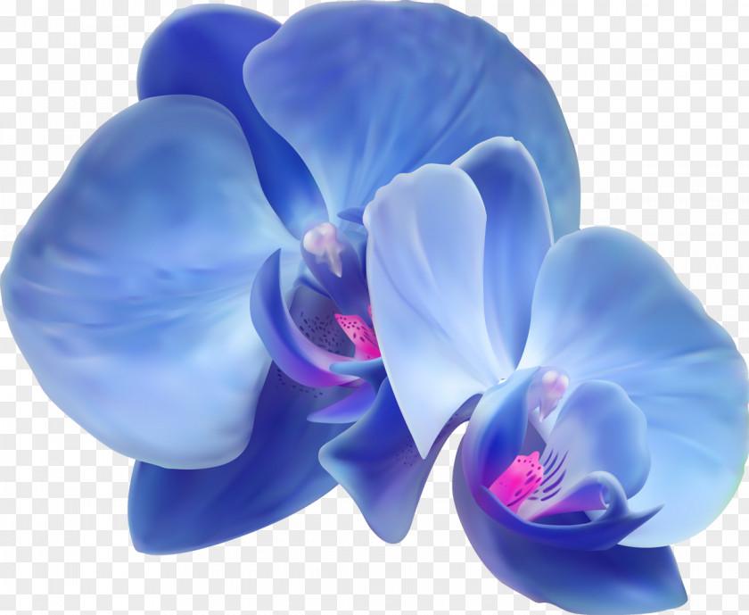 Blue Flower Orchids Artificial PNG