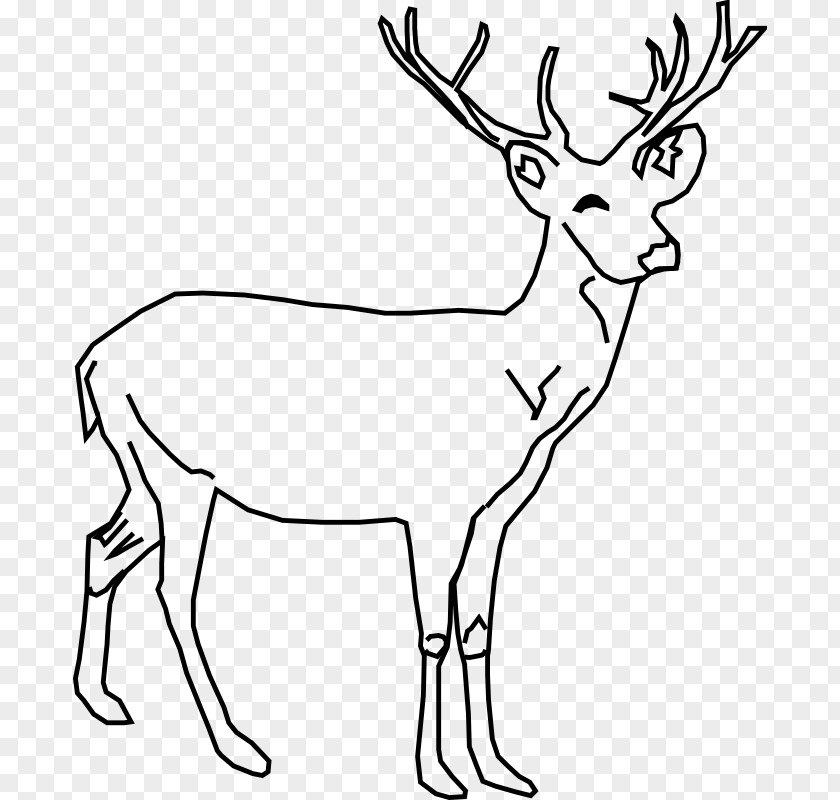 Deer White-tailed Moose Red Clip Art PNG