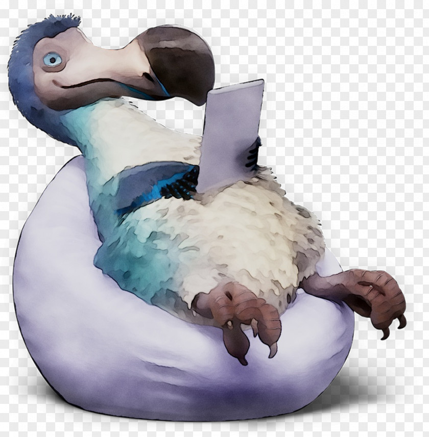 Duck Goose Bird Beak Neck PNG