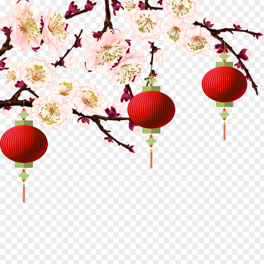 Lantern Peach Plum Blossom Chinese New Year PNG