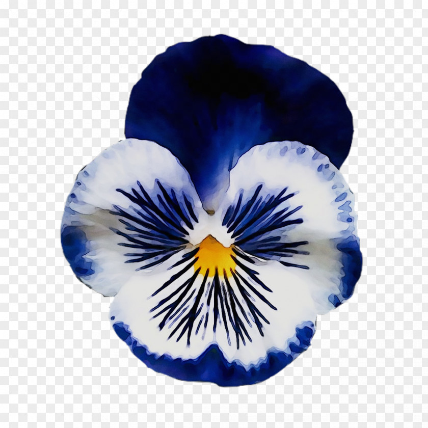 Pansy Tattoo Flower Thought Floral Design PNG