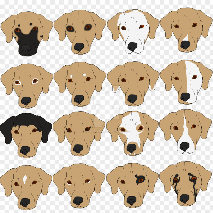 Puppy Dog Breed Companion Snout PNG