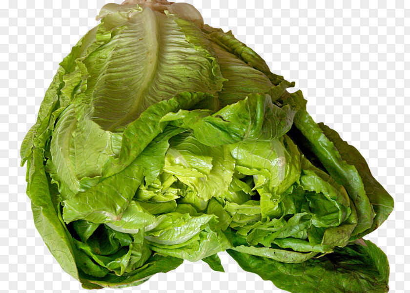 Salad Lettuce Sandwich Vegetarian Cuisine Hamburger Romaine Burger King Specialty Sandwiches PNG