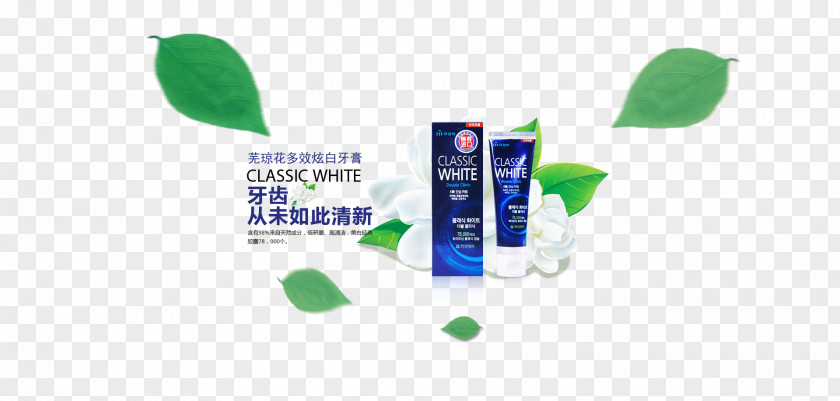 Wu Qionghua Dazzle Bright White Toothpaste Soap Viburnum Macrocephalum F. Keteleeri PNG