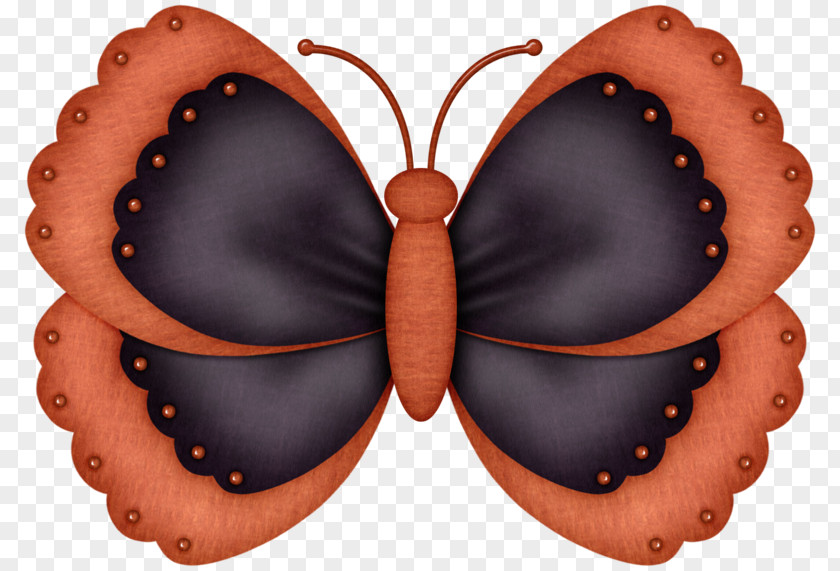 Butterfly Insect Art Moth Caterpillar PNG