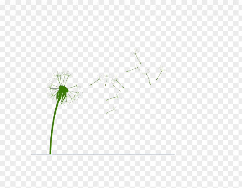 Dandelion Common 54 Cards Pissenlit Computer File PNG