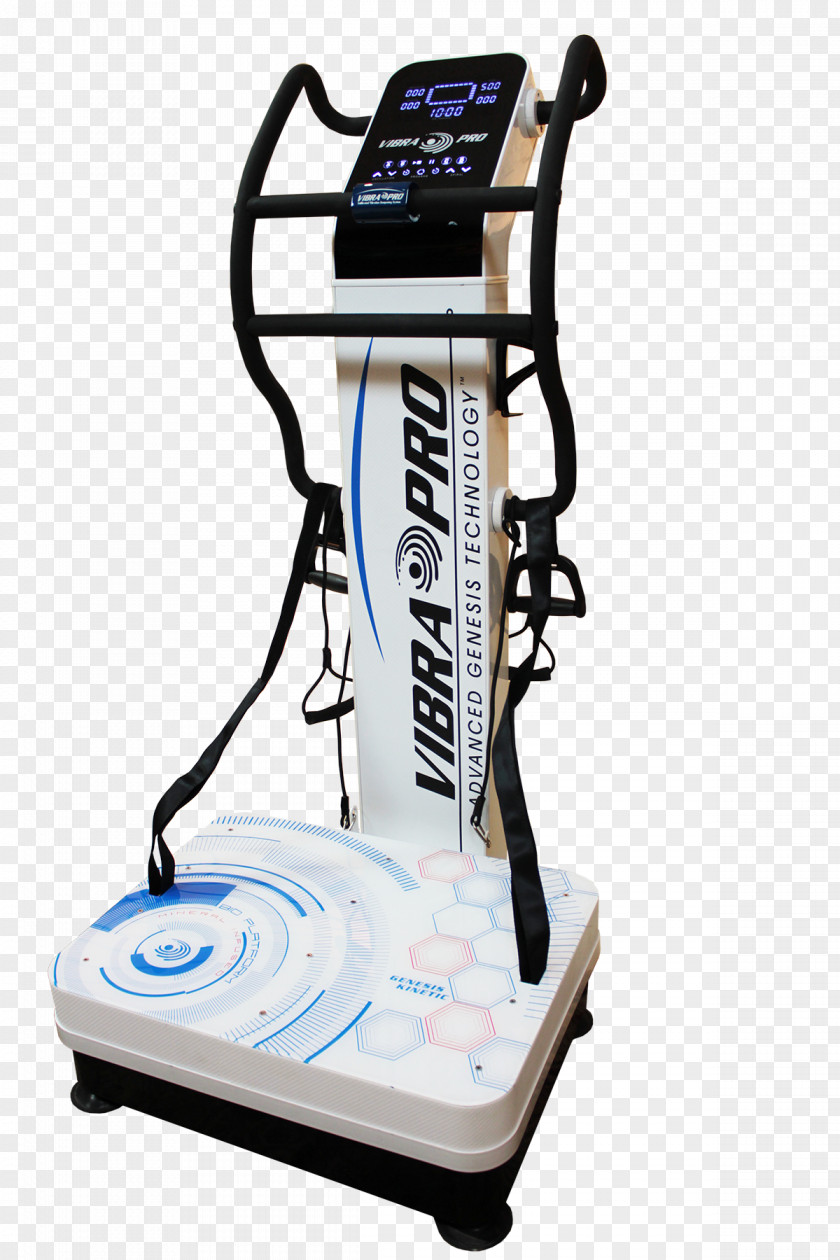 Exercise Machine Whole Body Vibration Human PNG