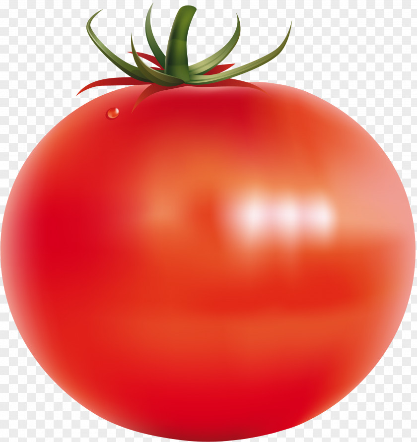 Gastrointestinal Vegetable Plum Tomato Food Fruit PNG