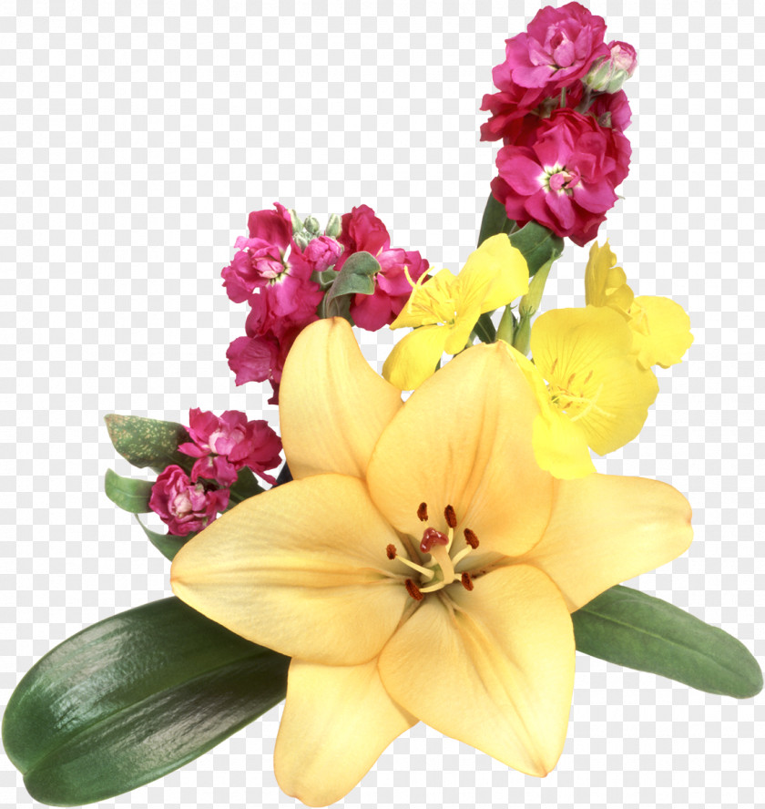 Gladiolus Lilium Flower Garden Roses Clip Art PNG