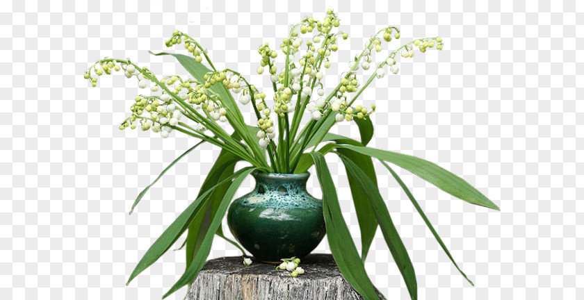 Lily Of The Valley 1 May Floral Design PNG