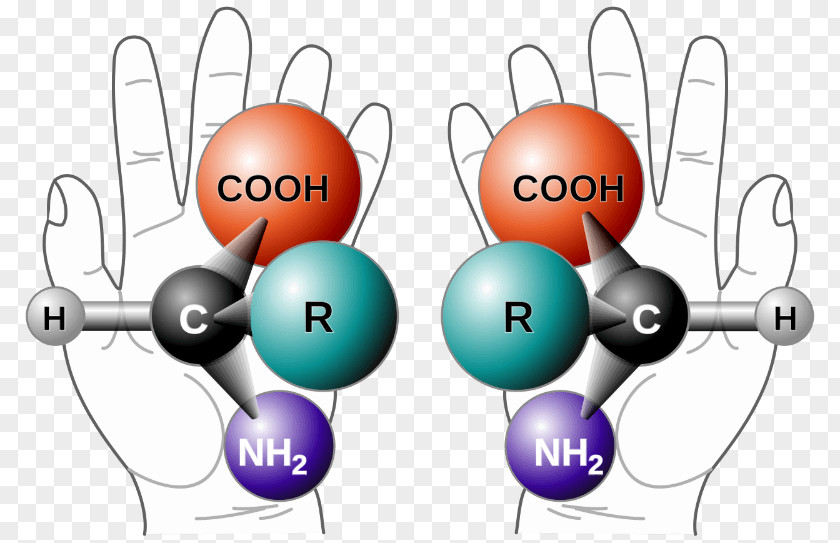 Longevity Chirality Stereocenter Mirror Image Molecule Chemistry PNG