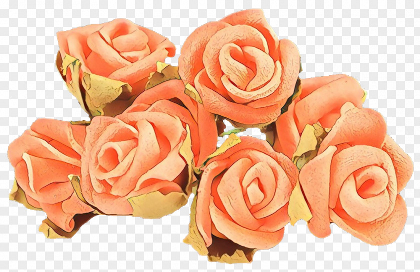 Petal Plant Garden Roses PNG