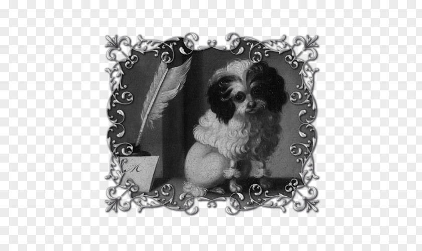 Puppy Dog Breed Poodle Maltese Shih Tzu PNG