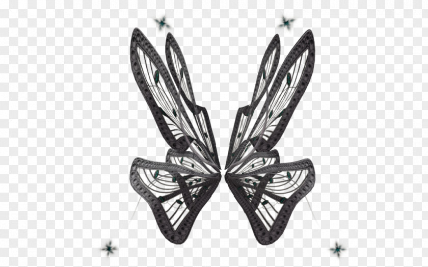 Butterfly Clip Art PNG