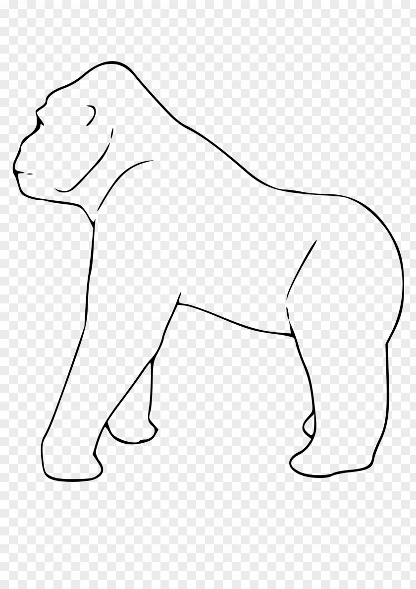 Gorilla Cat Dog Mammal Whiskers Carnivora PNG