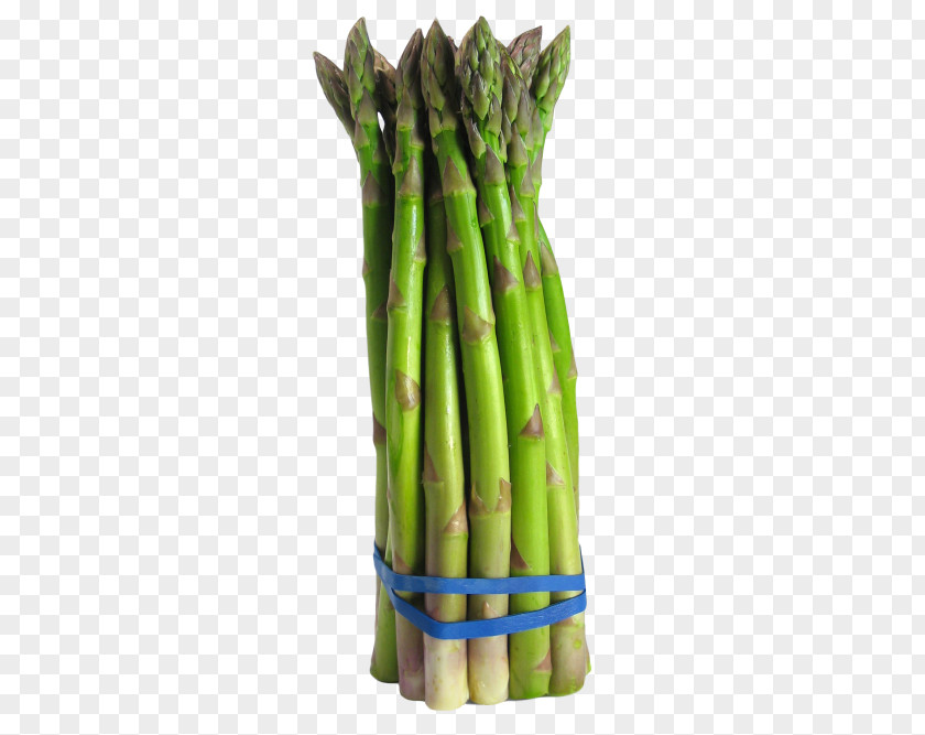 Onion Slices Asparagus Vegetable Broccoli Food Crop Yield PNG