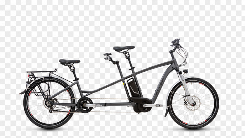 Rise Flyer Electric Bicycle Tandem Cycling Electricity PNG