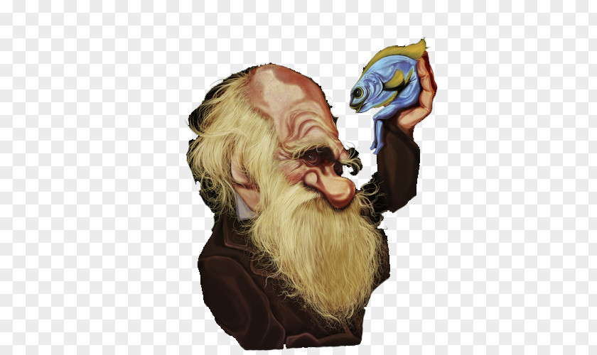 Darwin Cliparts On The Origin Of Species Evolution Naturalist Natural Selection Clip Art PNG